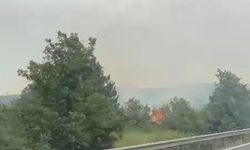İnegöl'de orman yangını Ekipler sevk edildi