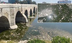 Görenleri şaşkına çevirdi: İzmir Körfezi'nden bile daha kötü durumda