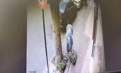 İnegöl'de çiçekleri sepete koyup gitti   O anlar kameraya yansıdı