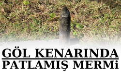 Göl kenarında patlamamış top mermisi bulundu