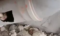 İnegöl'de yavru kediyi böyle kurtardılar