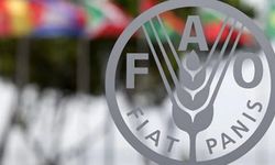 Dünyada gıda fiyatları arttı