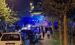 İnegöl'de çocuklar hastanelik oldu