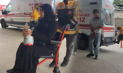 Anne-oğul hastanelik oldu