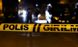 Koyunlar tarlaya girdi, kan döküldü!