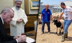 27.500 TL ödemişti! Cumhurbaşkanı Erdoğan'ın bağışladığı kurbanlar kesildi