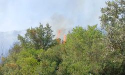 Orhangazi'deki yangına havadan ve karadan müdahale ediliyor