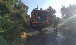 Bursa’da karga yangına neden oldu