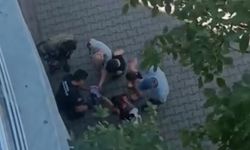 Bursa'da yürekleri ısıtan kurtarma! Yavru karga ağaca sıkıştı, çaresizce bekledi