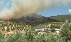 Bursa İznik'te büyük orman yangını