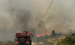 İzmir Karaburun’da yangın alarmı! Alevlerle mücadele sürüyor