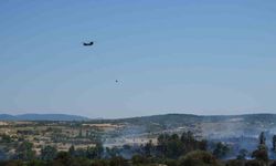 Balıkesir’de ki arazi yangını söndürüldü