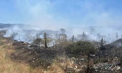 Çanakkale’de çöplük yangını söndürüldü