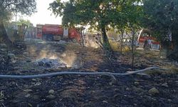 Edremit’te yangında 123 zeytin ağacı alev alev yandı