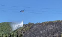 Kocaeli’de ağaçlık alanda çıkan yangın kontrol altına alındı