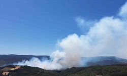 Sakarya’daki orman yangını havadan görüntülendi