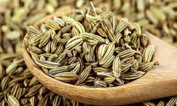 Rezene Nedir? Rezene Çayının Faydaları Nelerdir?