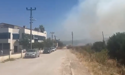 Yenişehir sınırındaki yangın binalara yaklaştı
