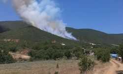 Yenişehir'de yine yangın