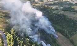 İnegöl'de orman yangını   Son dakika