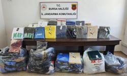 İnegöl'de ele geçirildi   Değeri 2 milyon TL