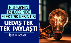 Bursa'nın 12 ilçesinde elektrik kesintisi