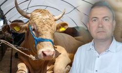 Sattığı kurbanlık ölüm getirdi! İş adamı dananın fotoğrafını çekerken canından oldu