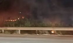 Bursa'nın Mudanya Yolu'nda Yangın Paniği: İtfaiye Ekipleri Sevk Edildi