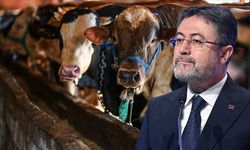 Bakan Yumaklı, üreticinin elinde kalan kurbanlıklar için yeni uygulamayı açıkladı