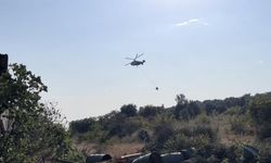 Nilüfer’deki orman yangını kontrol altına alındı