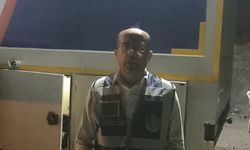 Festivalin bütçesi, ormanları yeşillendirecek
