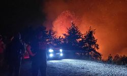 Bursa'da havai fişek atanlara ders gibi ceza: 50'şer ağaç dikecekler