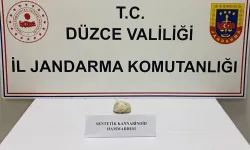 Düzce’de 3 milyon TL’lik uyuşturucu operasyonu