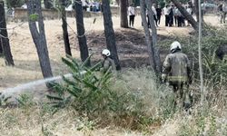 Bakırköy Ruh ve Sinir Hastalıkları Hastanesi bahçesinde yangın
