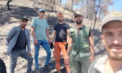 Ormanlar yeniden doğuyor: Geyve’de fidan mesaisi başladı