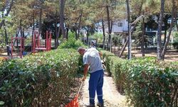 Silivri’de park, bahçe ve yeşil alanlarda bakım çalışmaları sürüyor