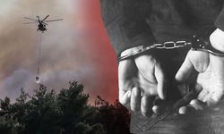 Bursa'dan sonra bu sefer de Sakarya! Orman yangınına ilişkin 2 gözaltı