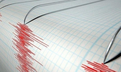 Marmara'da deprem: Açıklama geldi