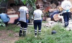 İnegöl'de bahçede ölü bulundu
