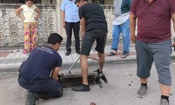 İnegöl'de çocuklar oyun oynarken fark etti   Ekipler seferber oldu