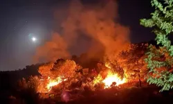 Yumaklı'dan Bursa'daki yangın ile ilgili açıklama!