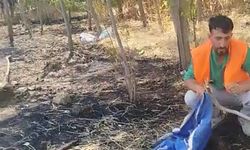 Yangını işçiler söndürdü