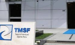 TMSF, iki markayı satışa çıkardı