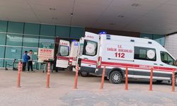 İnegöl'de akrebin soktuğu kadın hastanelik oldu