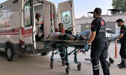 İnegöl'de karı-koca hastanelik oldu