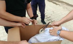 Kubbedeki leyleğin yardımına itfaiye yetişti