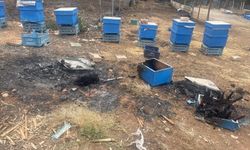 Milyonlarcası ateşe uçtu bir daha geri dönmedi
