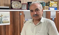 Bir şehir efsanesi: "Kozalak patlaması"
