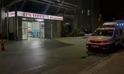 Yıldırım'da yeğenini erkek arkadaşıyla yakalayan amca dehş*t saçtı