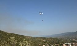 Orhangazi yangını ile ilgili 1 kişi gözaltına alındı
